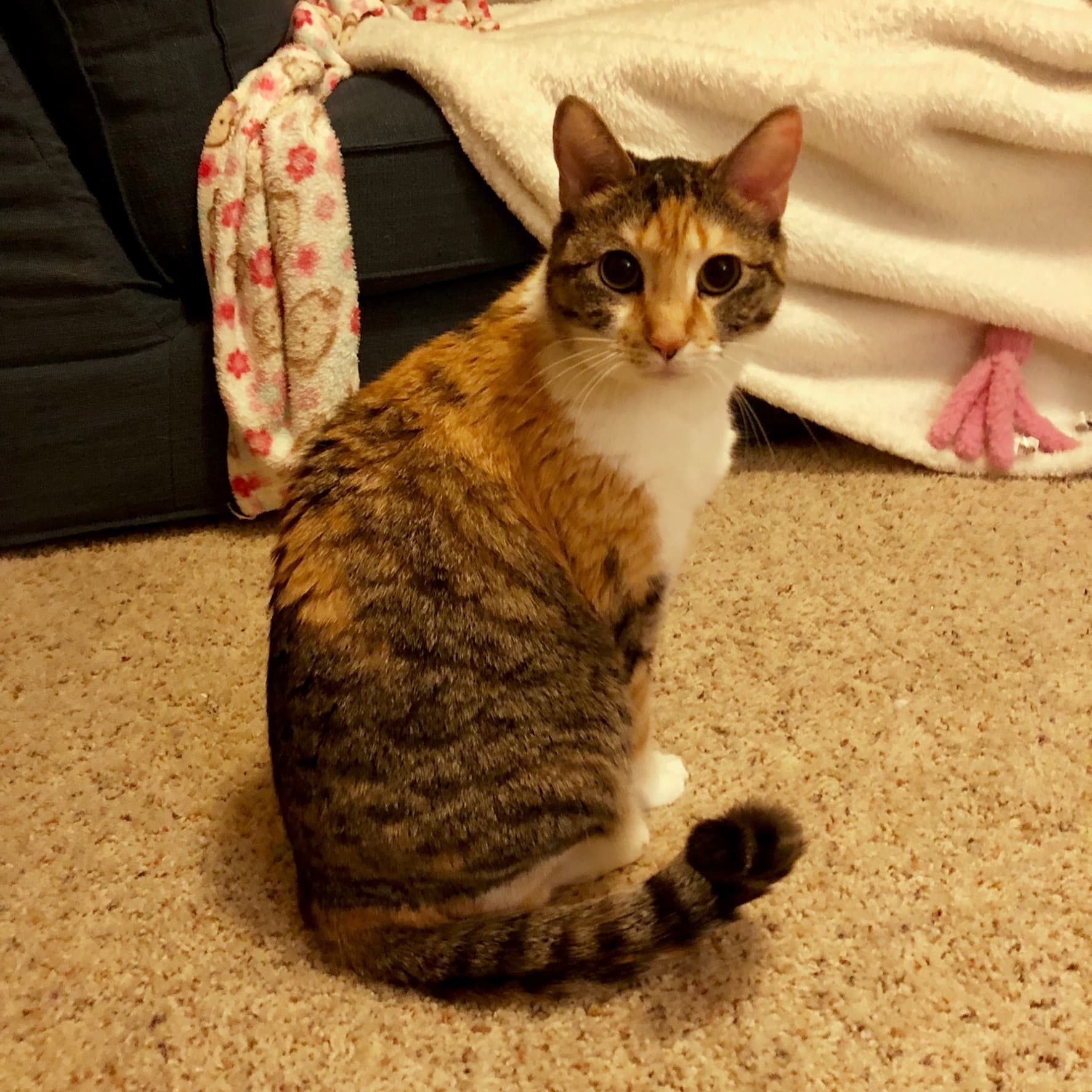 Minnie thumbnail 4