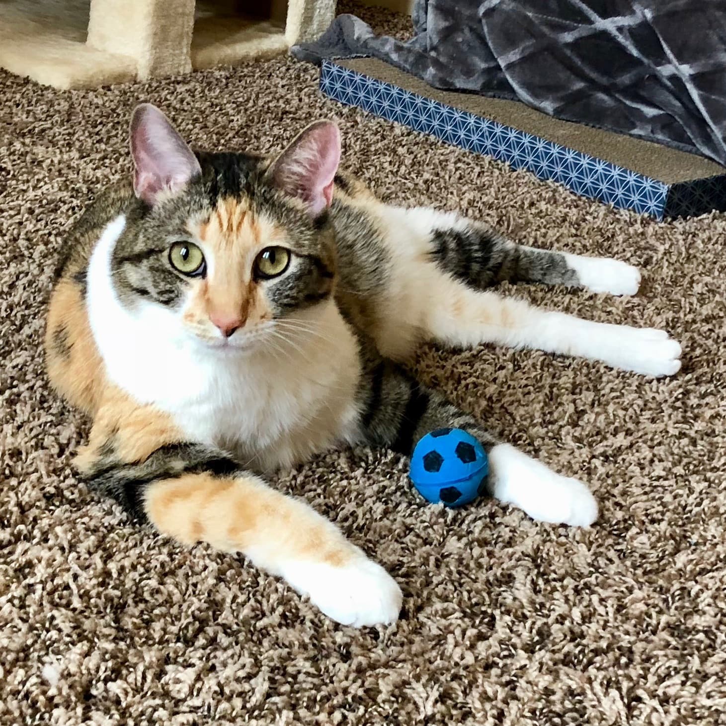 Minnie