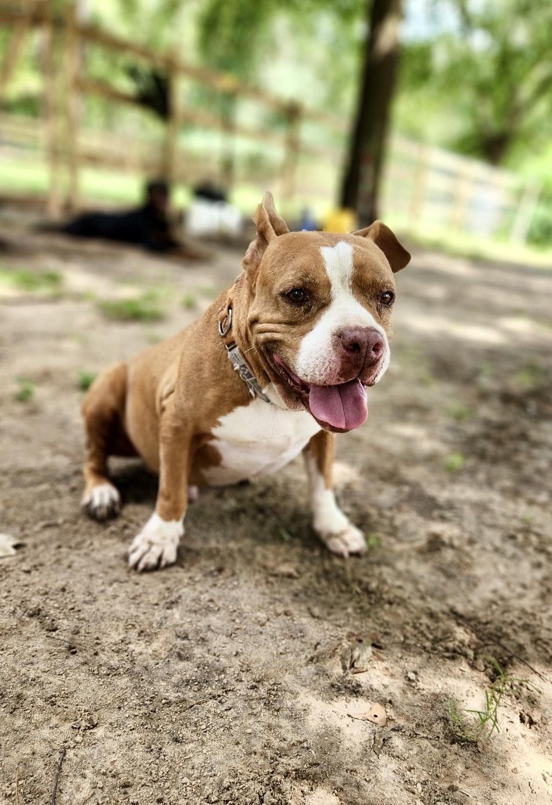 Tyson